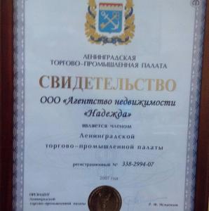 Фотография Надежда 3