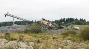 Фотография Группа Бушуровых 3